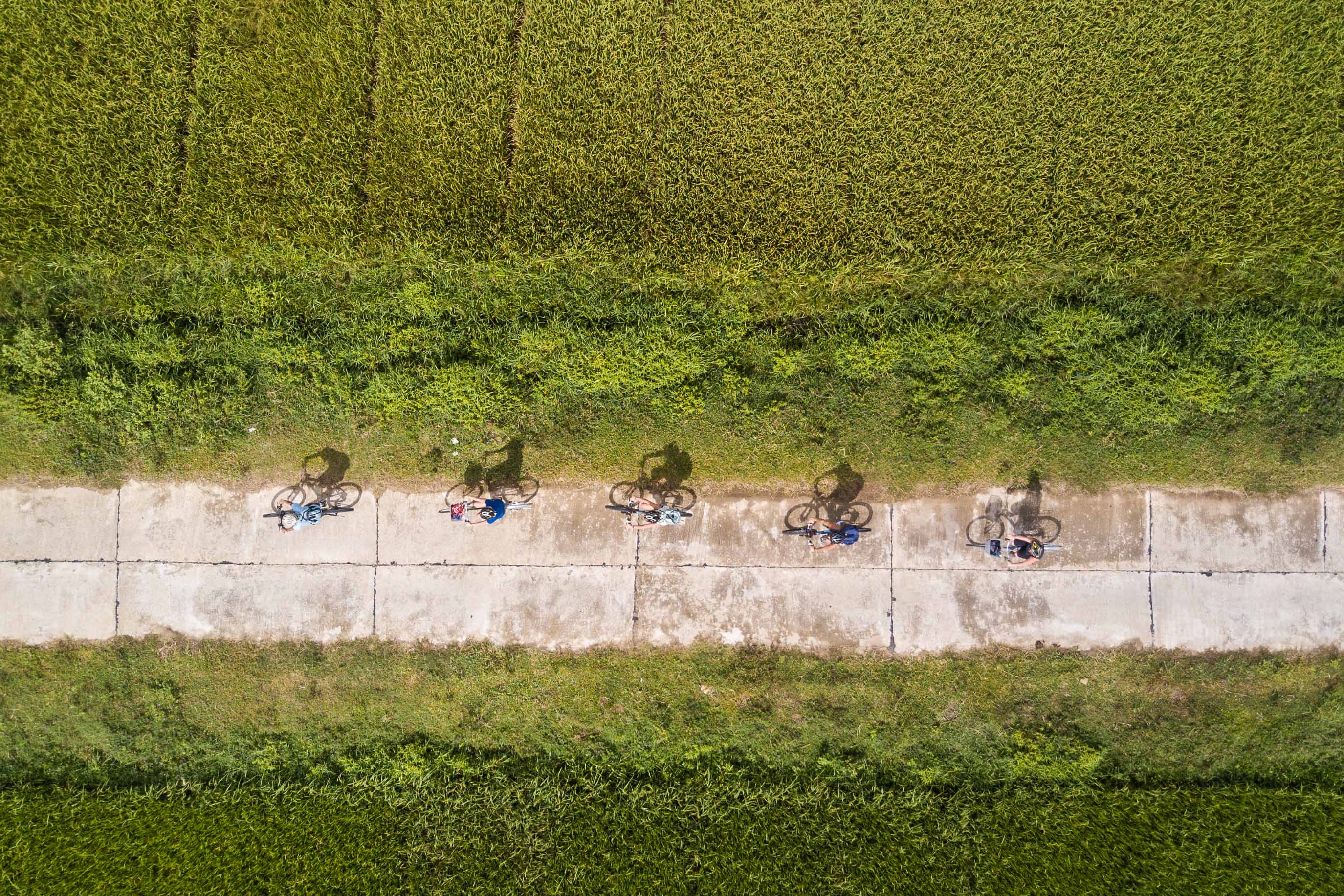 Cycling across the rice fields