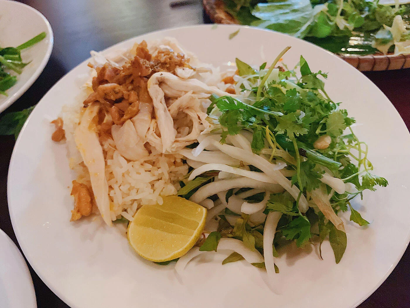 A dish of Hoi An Chicken Rice