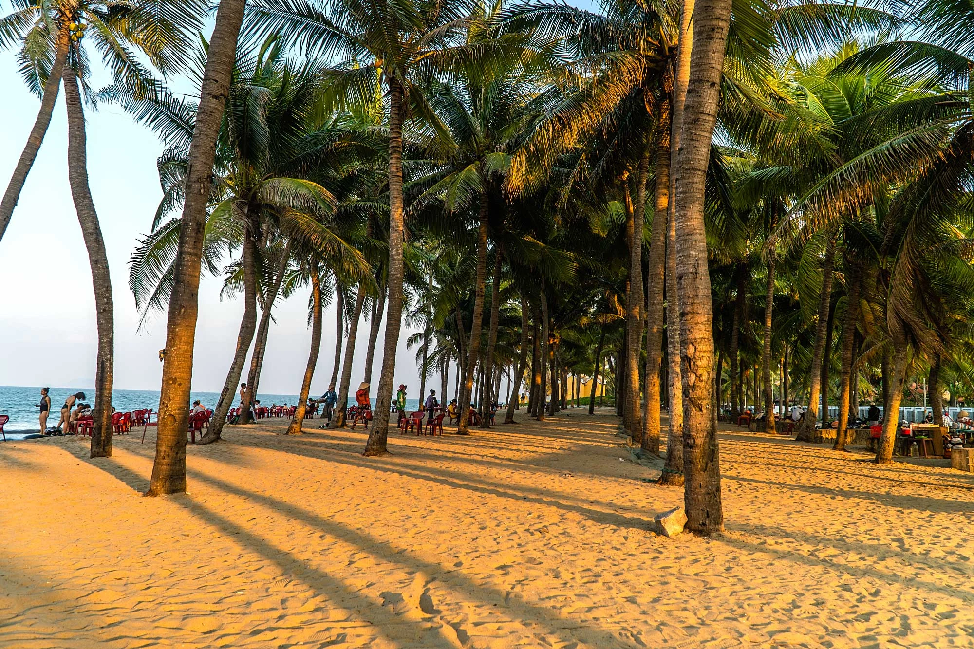 Coconut trees and tourists at Cua Dai Beach