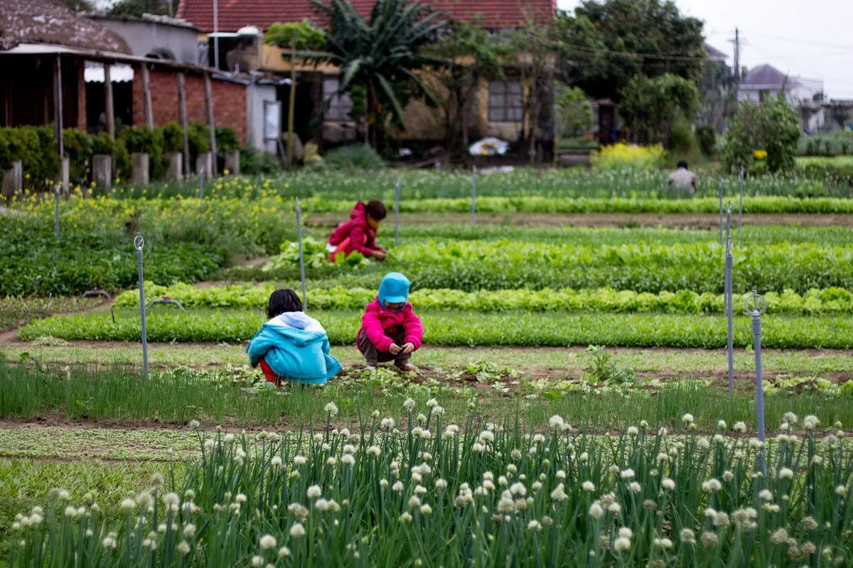 Kids growing plants in vegetable garden